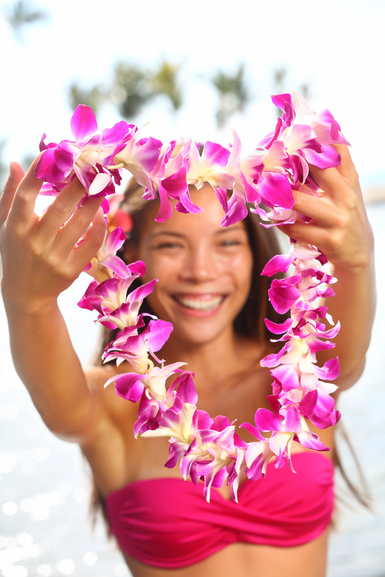 Lei Flowers: What Is Used to Create a Traditional Hawaiian Lei